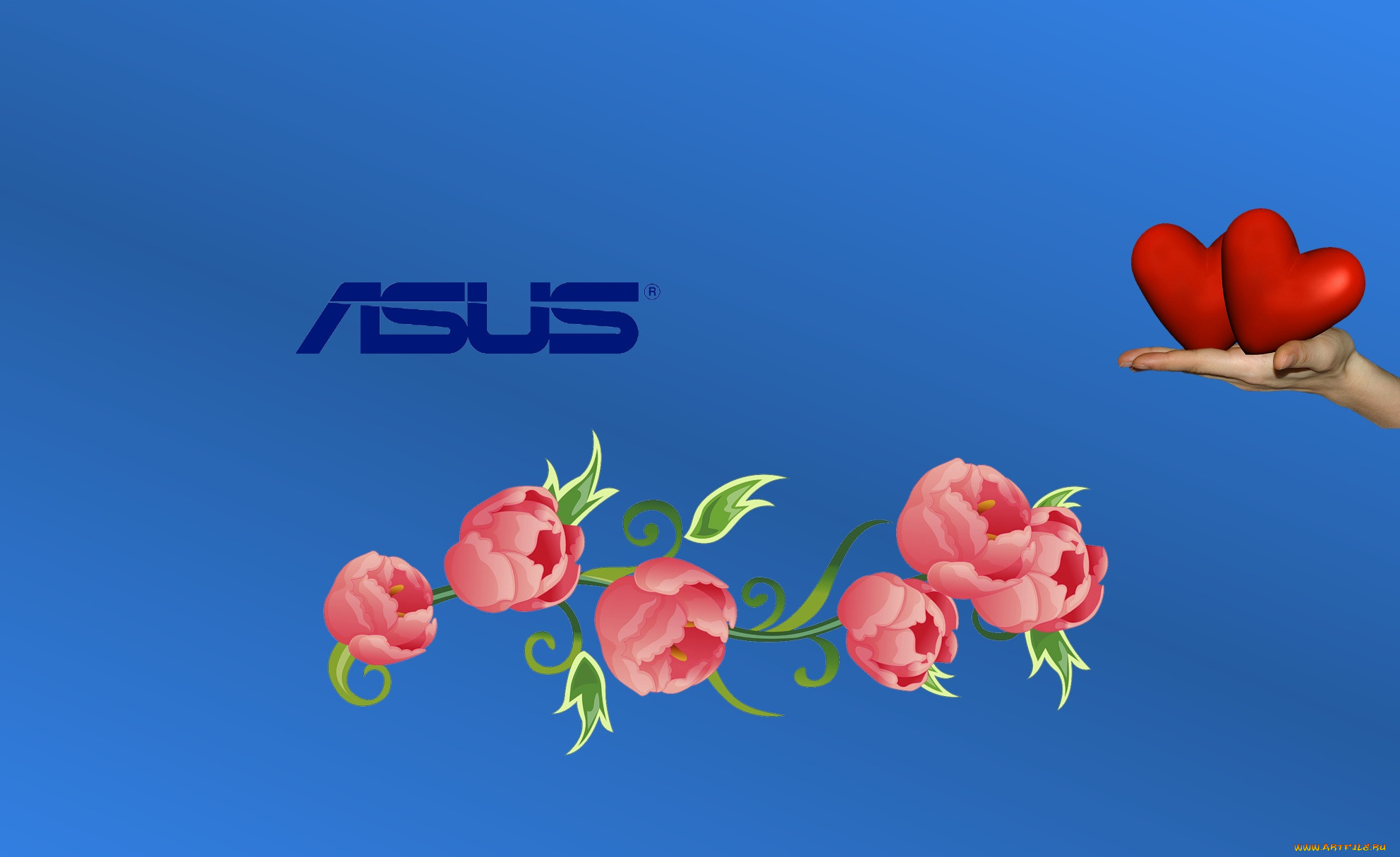 , asus, , 